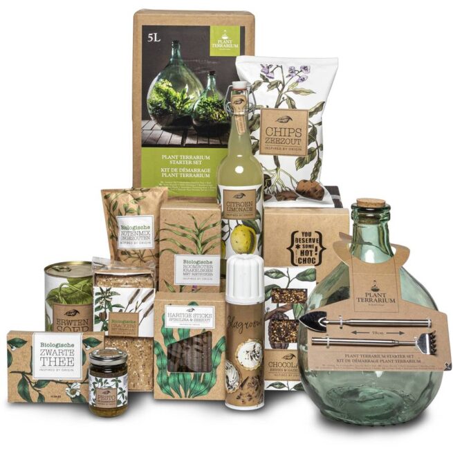 Kerstpakket Terrarium