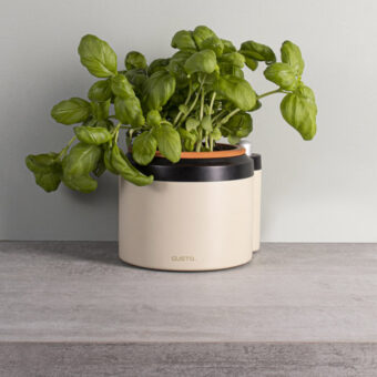 Kerstpakket Geef groen