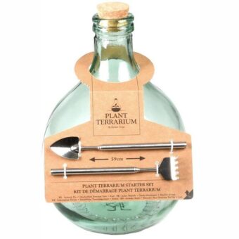 Kerstpakket Terrarium