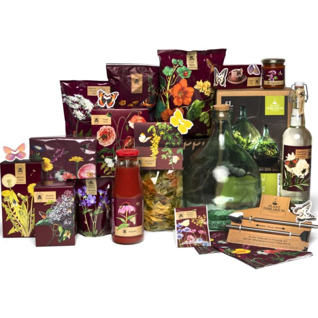 Kerstpakket Terrarium