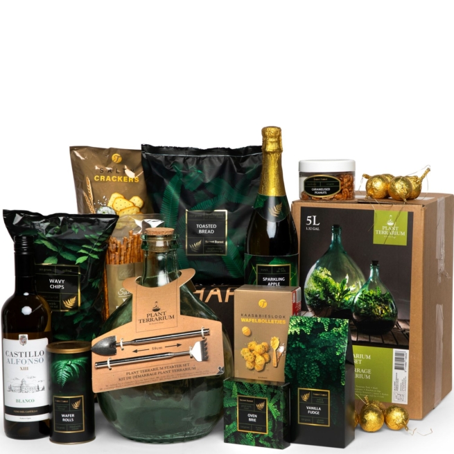 Kerstpakket Terrarium